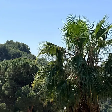 아파트 Bella Vista